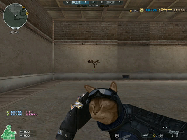 放在玩家真 放在玩家真